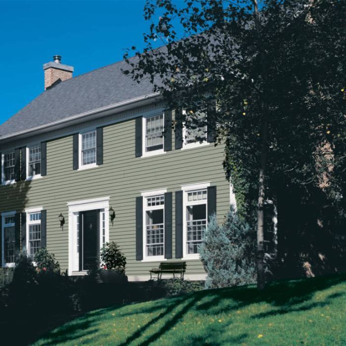 House with Green Siding